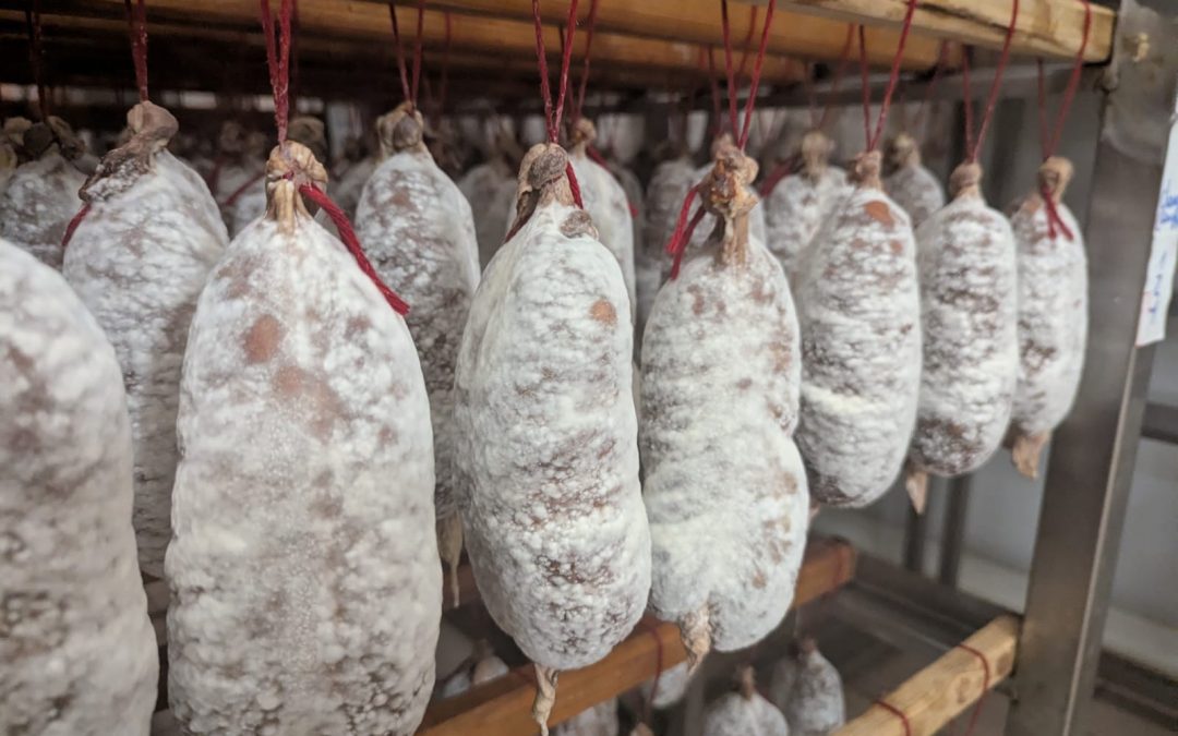 affinage saucissons